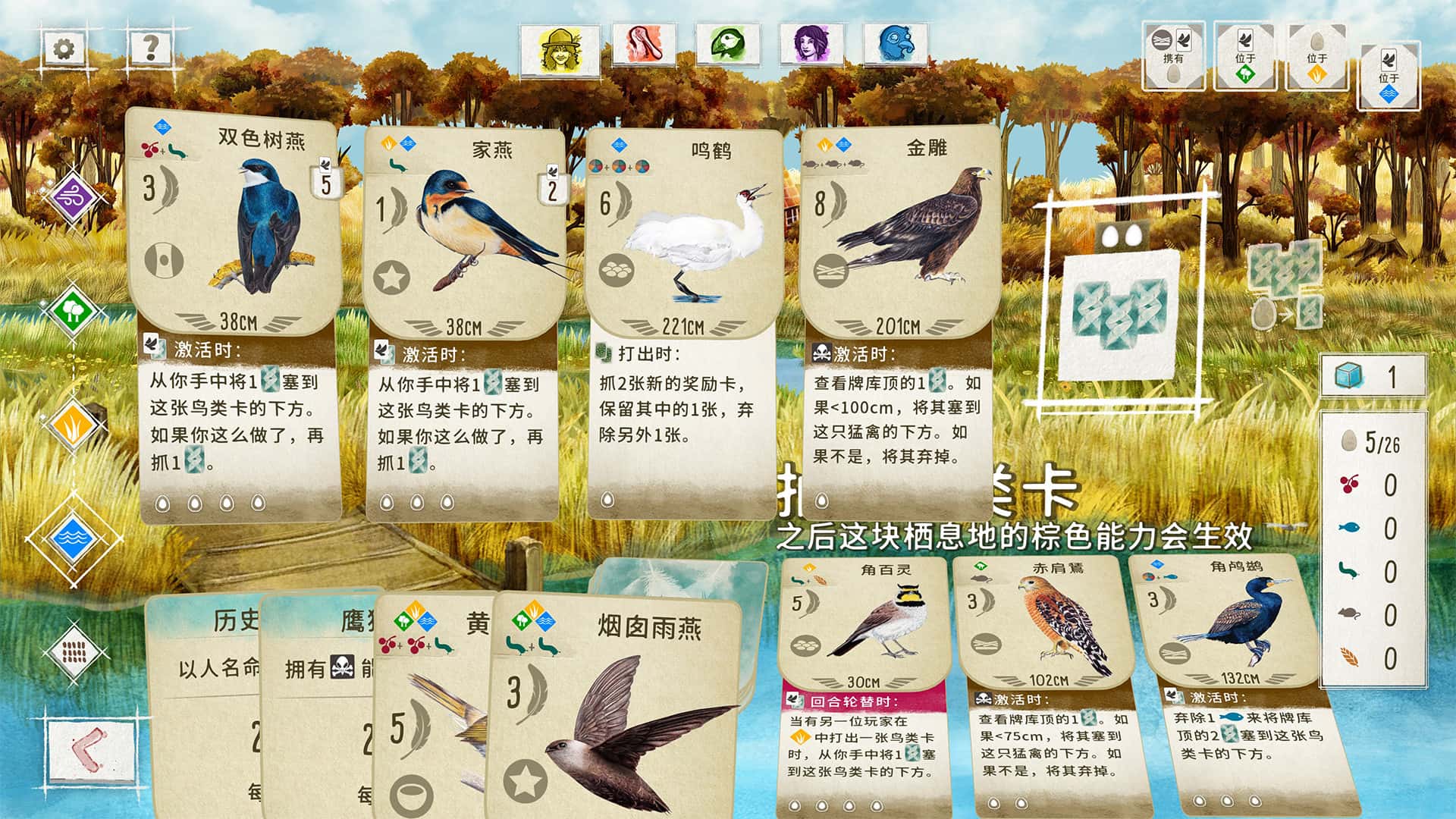 视觉数据5